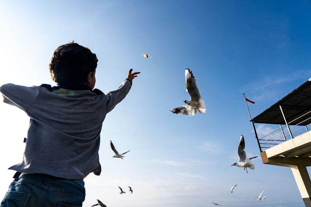 Photograph by Галина Аскольдовна Луковникова