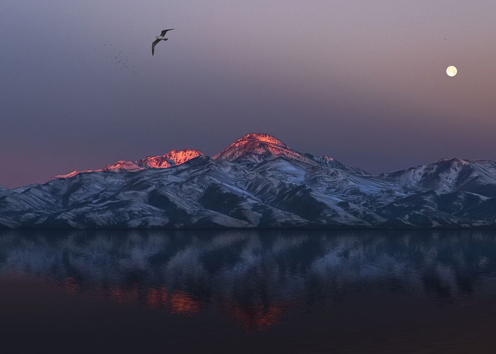 Photograph by Behnam Khoshbaten