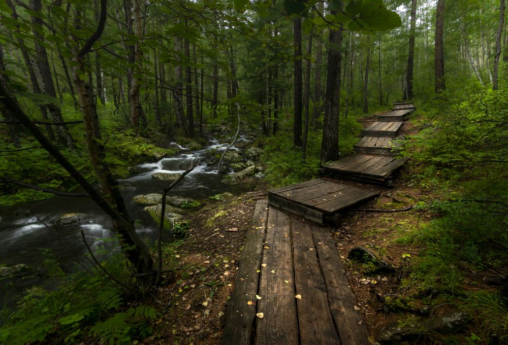 Photograph by Дмитрий Портных