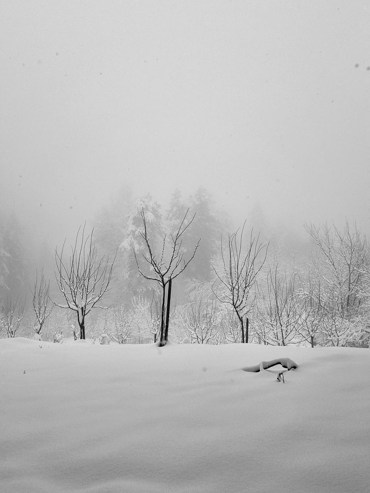 Photograph by Светлана