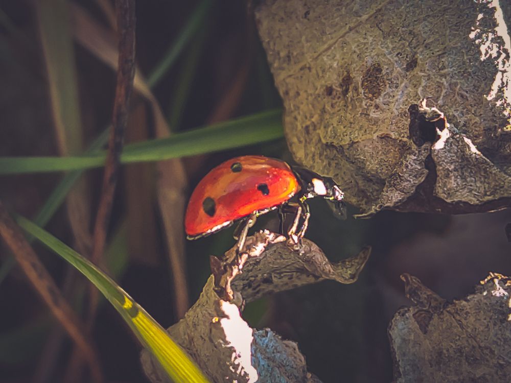 Photograph by Дмитрий Головко