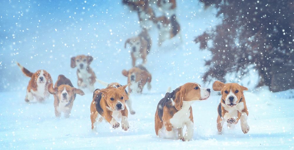 Фотография автора Katerina Mumzhinskaya