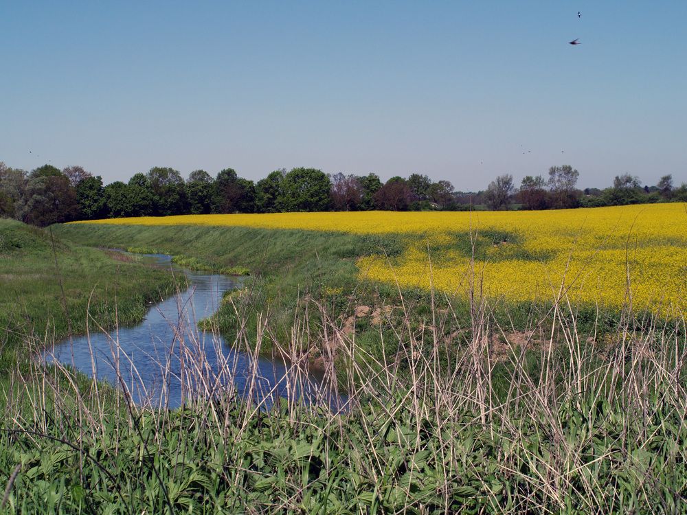 Фотография автора Dubravko Maricic