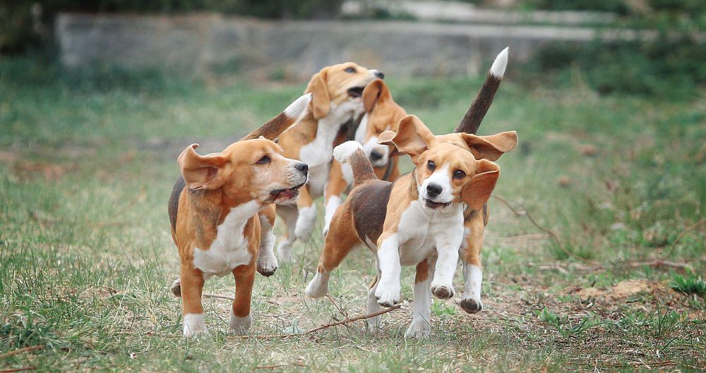 Фотография автора Katerina Mumzhinskaya