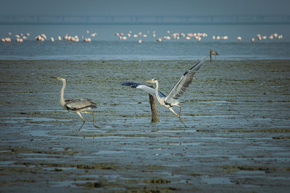 Photograph by Ragul Raja