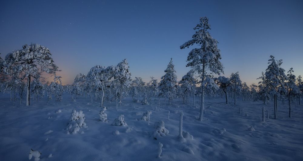 Photograph by Олег Иваницкий