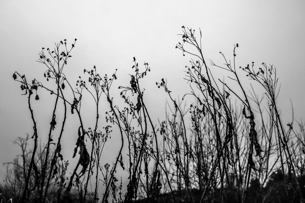 Photograph by Ирина Любимова