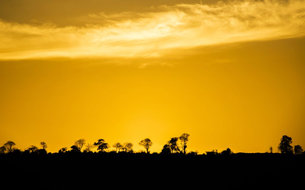 Photograph by Utkarsh Patil