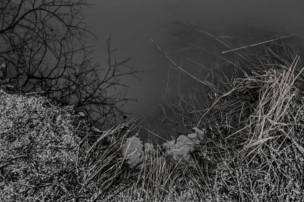 Photograph by Ирина Любимова