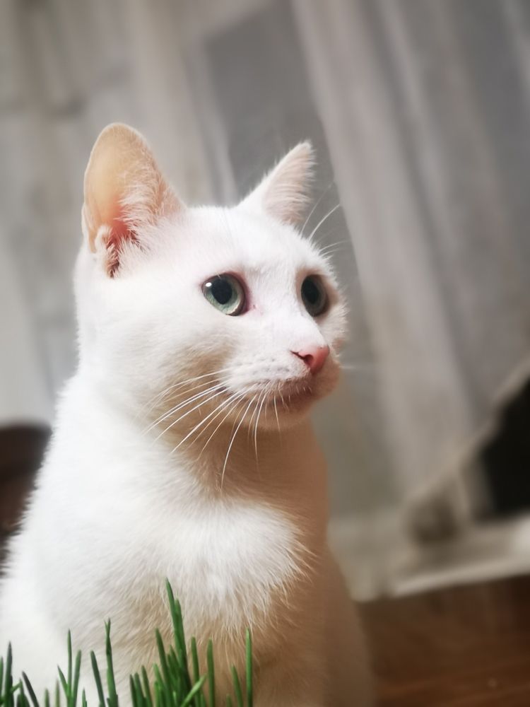 Photograph by Nikolett Mengyi