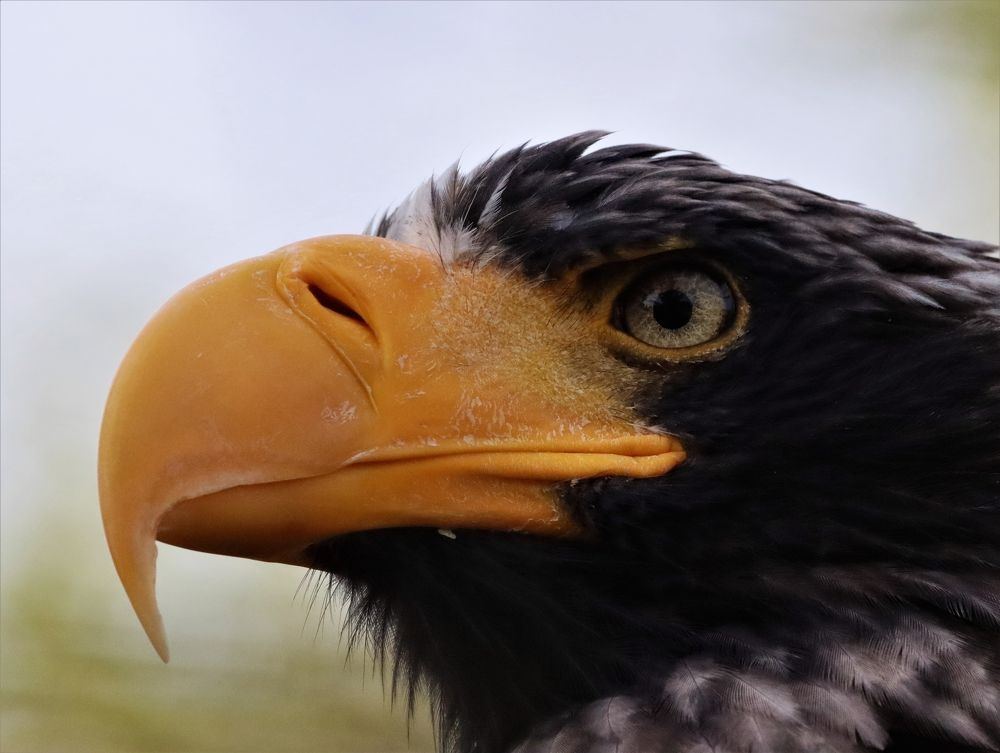 Photograph by Anja kroes