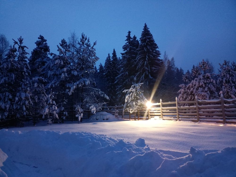 Photo #7316917