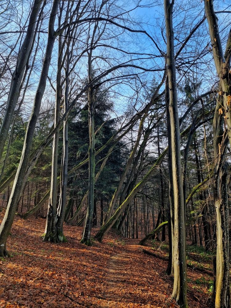 Photograph by Светлана