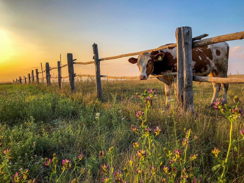 Photograph by Игорь Антонов