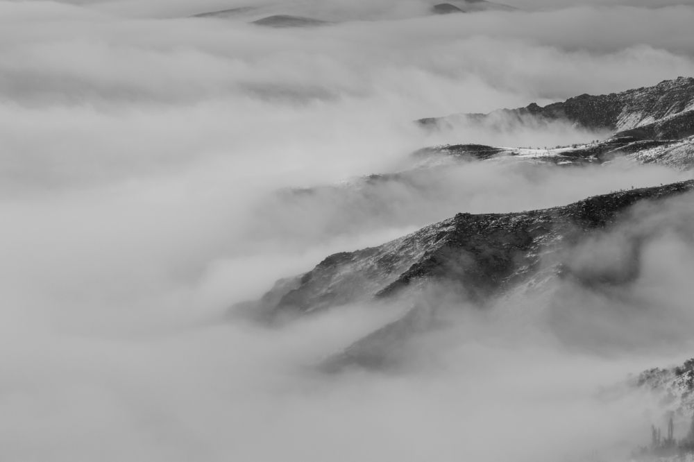 Фотография автора payman Mollaie