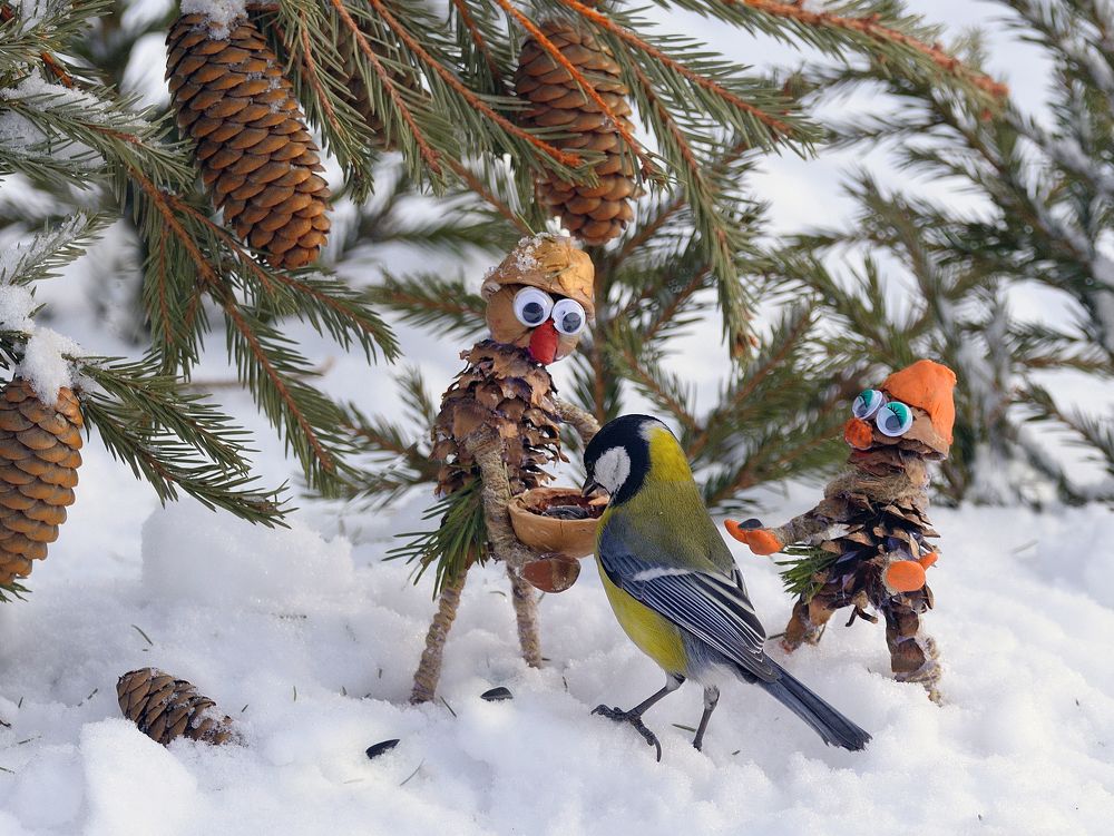 Photograph by vladilenoff