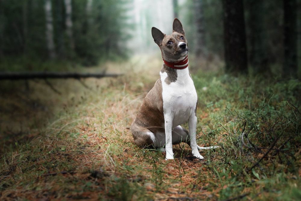 Фотография автора Юрий Бутаков