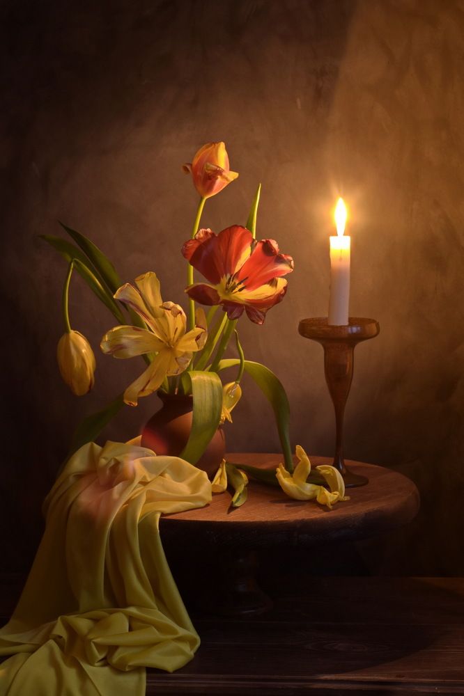 Фотография автора лилия беланова