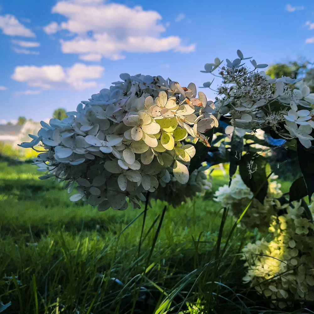 Photograph by Ксения Моськина