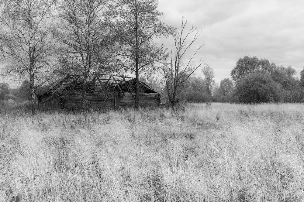 Photograph by Ольга