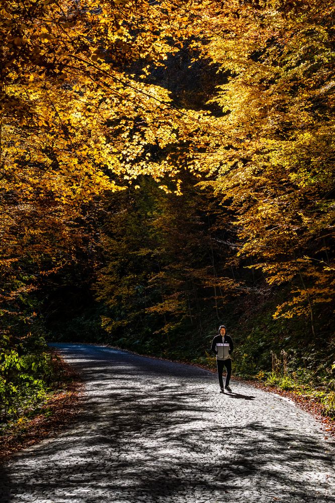 Фотография автора Fikriye Er