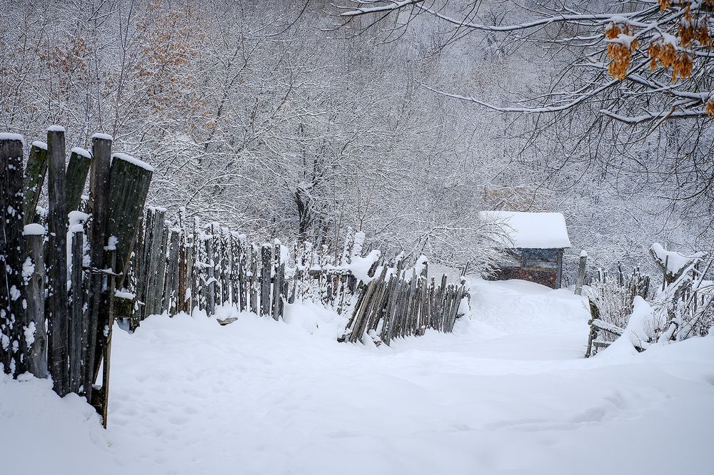 Photograph by Владислав Никишин