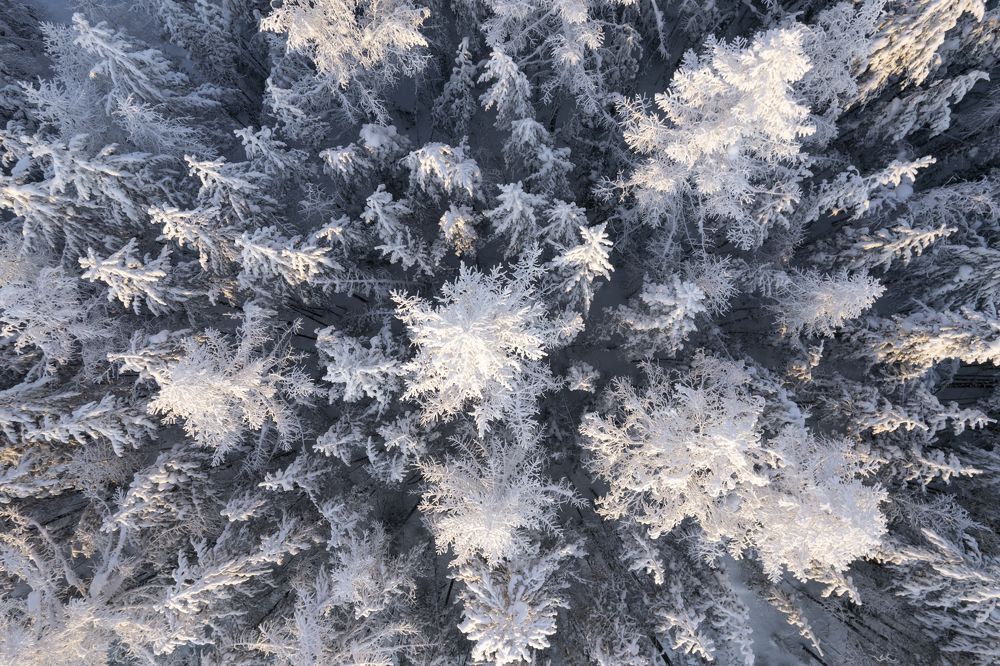 Photograph by Татьяна Борисова