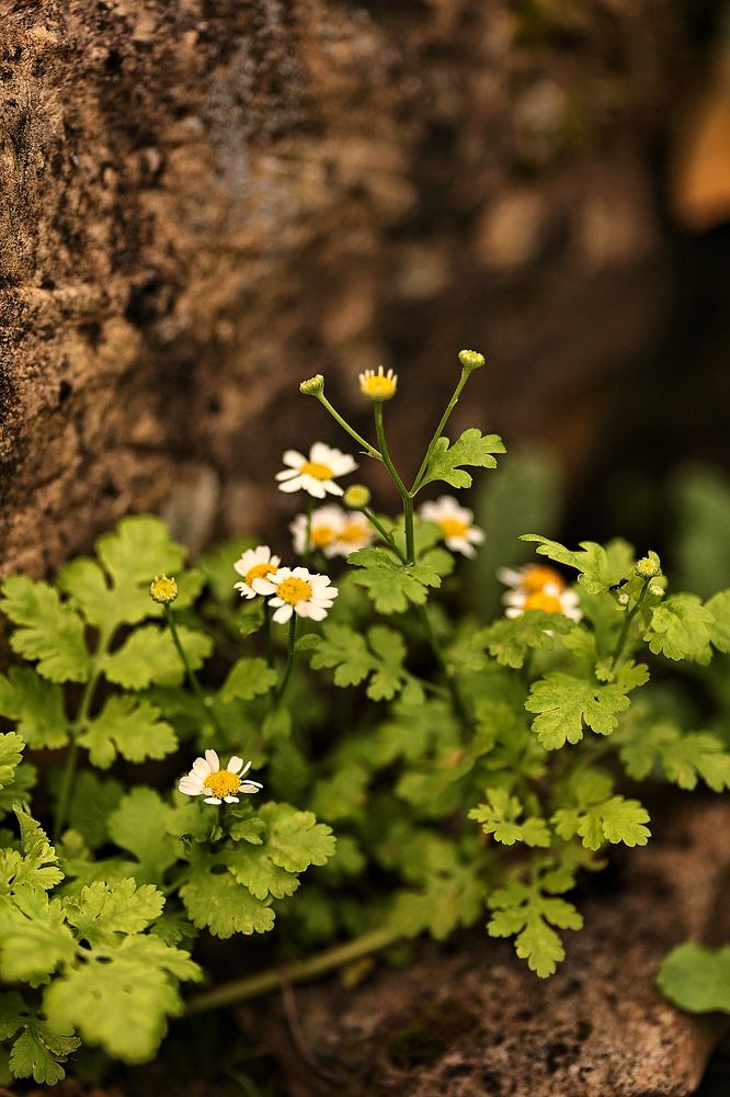 Photograph by Елена Одынец