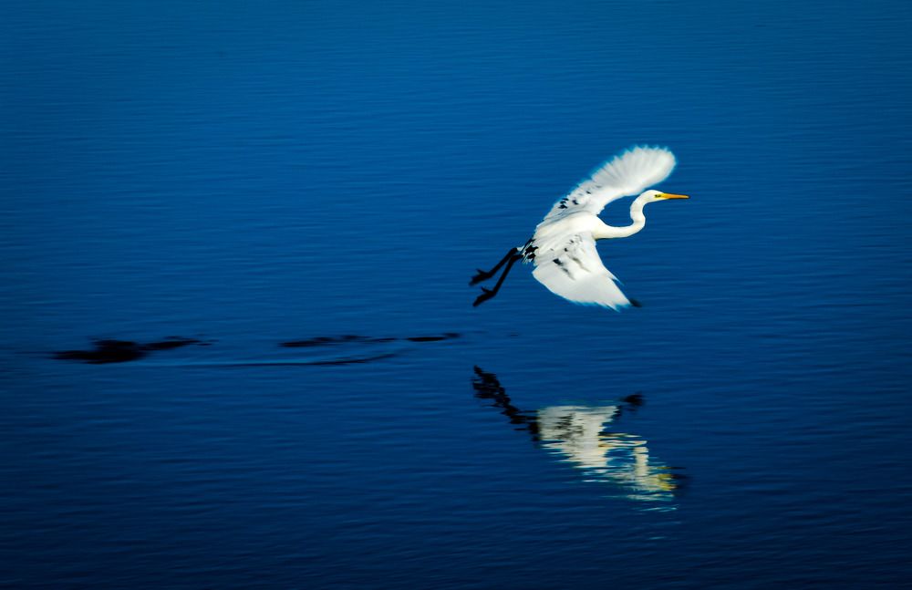 Photograph by Кристина Вингре