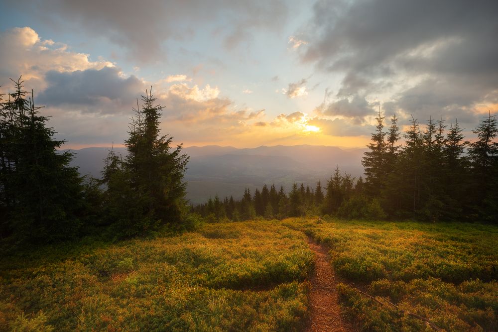 Photograph by Максим Уланов