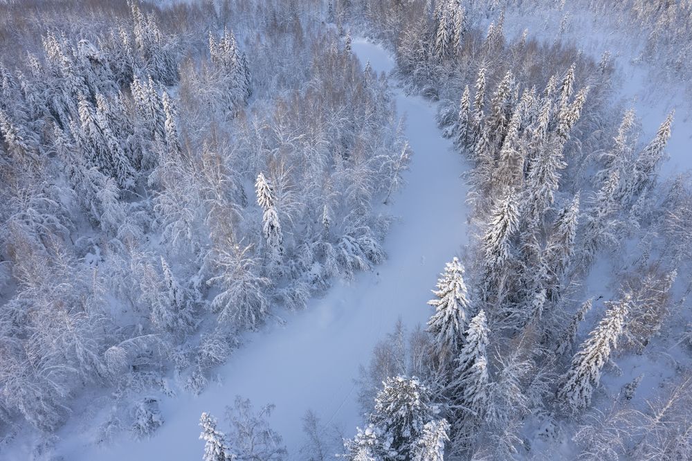 Photograph by Татьяна Борисова