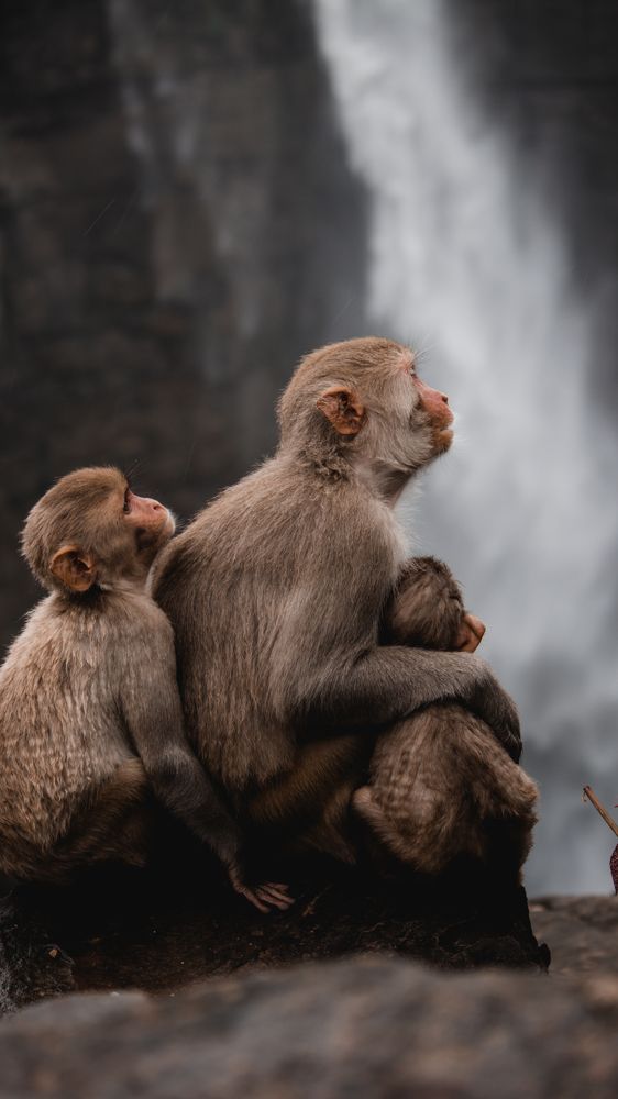 Photograph by Animesh