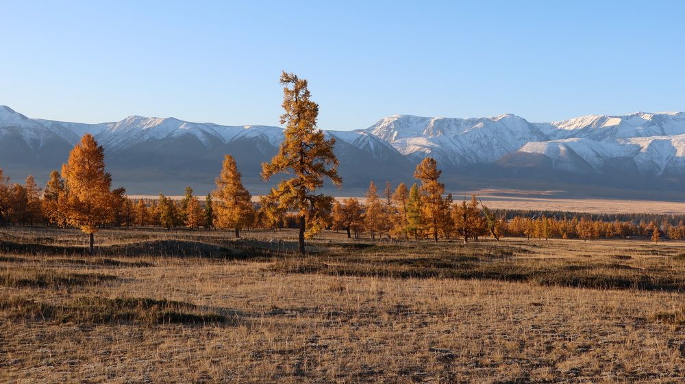 Рыжая осень