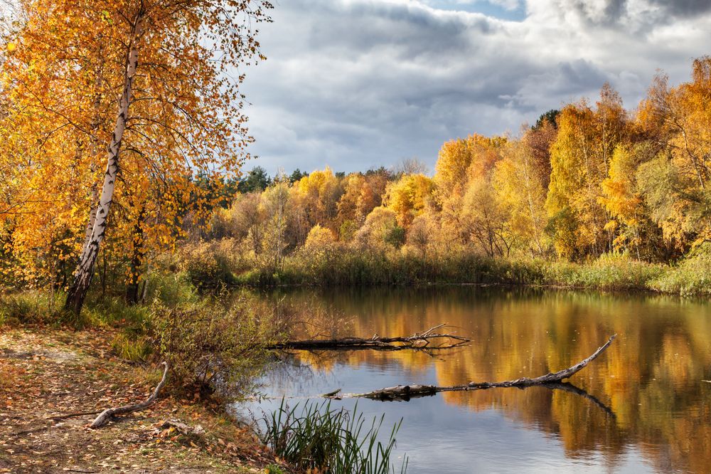 Photograph by Сарапулов Игорь