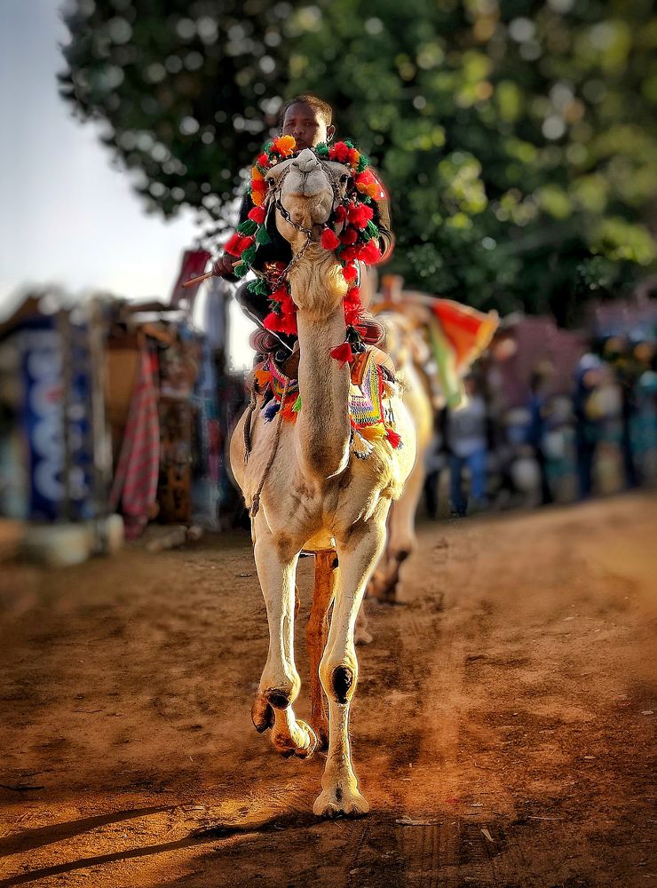 Photograph by Rana Khan