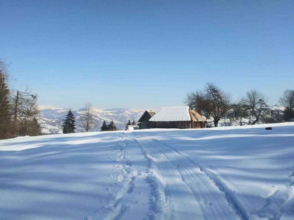 Photo #7317657