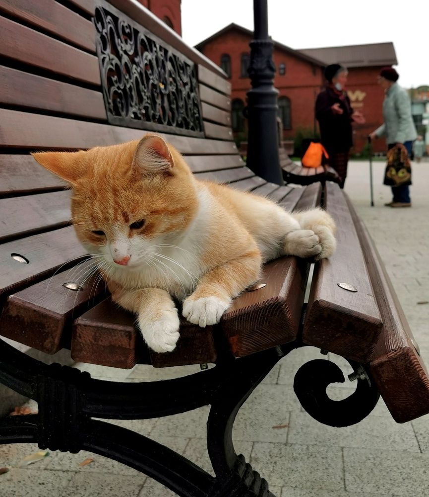 Photograph by Наталия Питолина