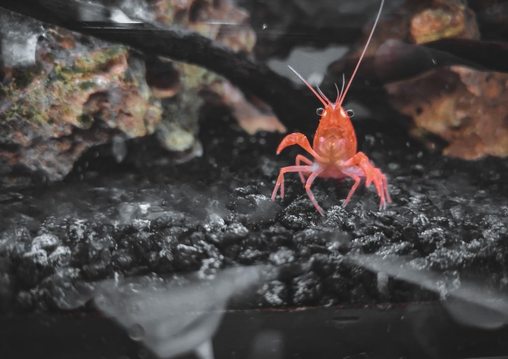 Photograph by Кристина Полякова