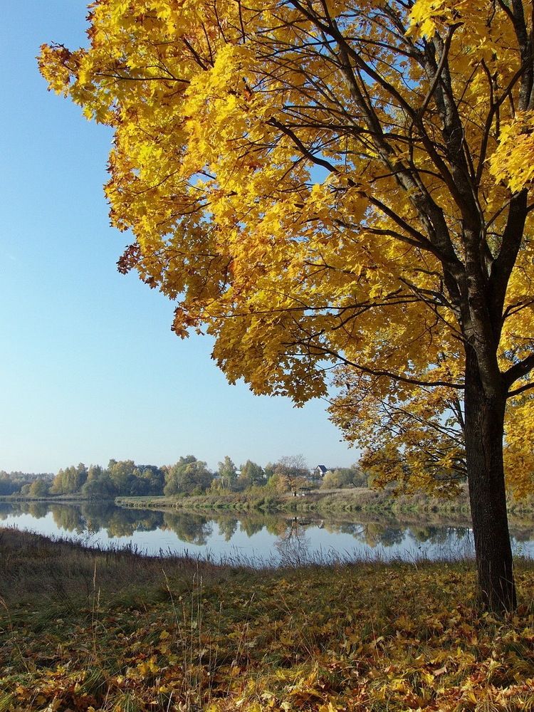 Photograph by Игорь Меньшенин