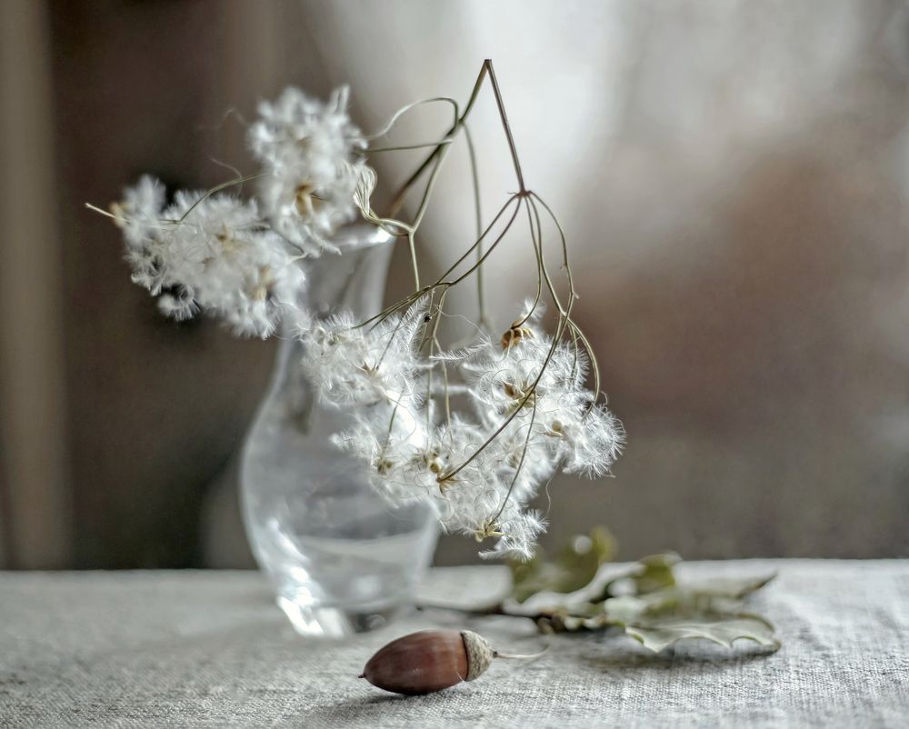 Стоял ноябрь уж на дворе.