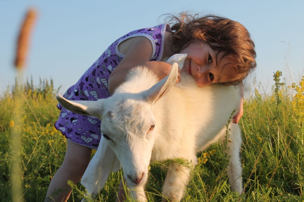 Photograph by Дарья Ващенко-Панкина