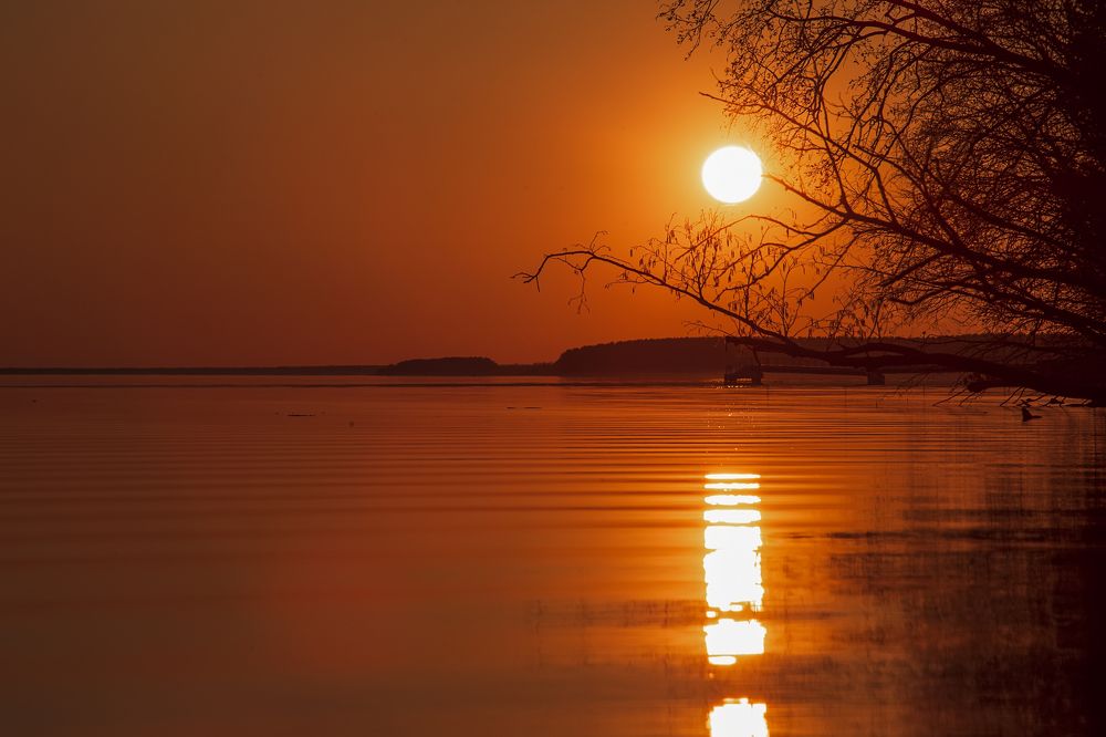 Photograph by Антон Хаткевич