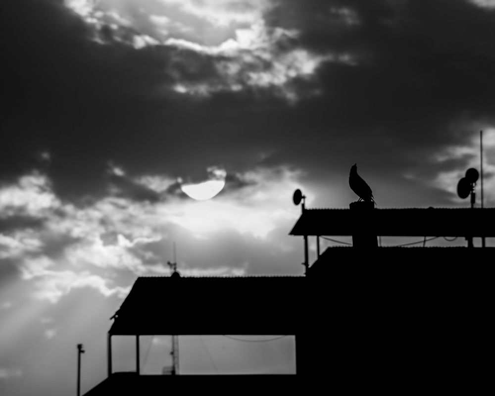 Photograph by Alireza Garousi