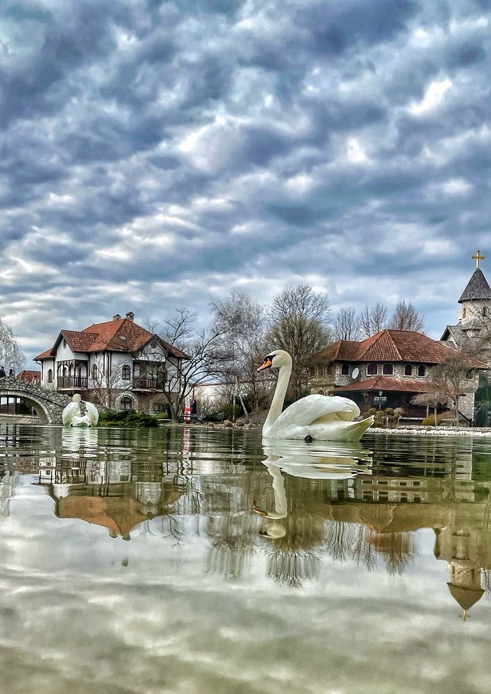 Photograph by Eldin Ceycky