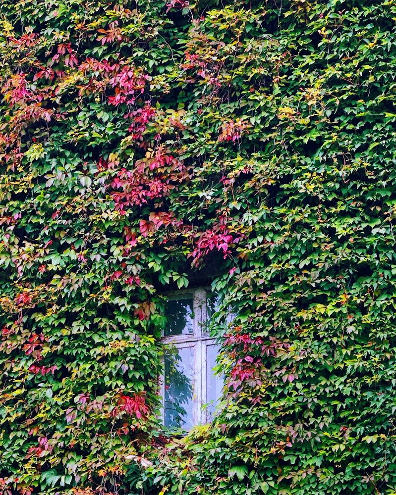 Photograph by Мария