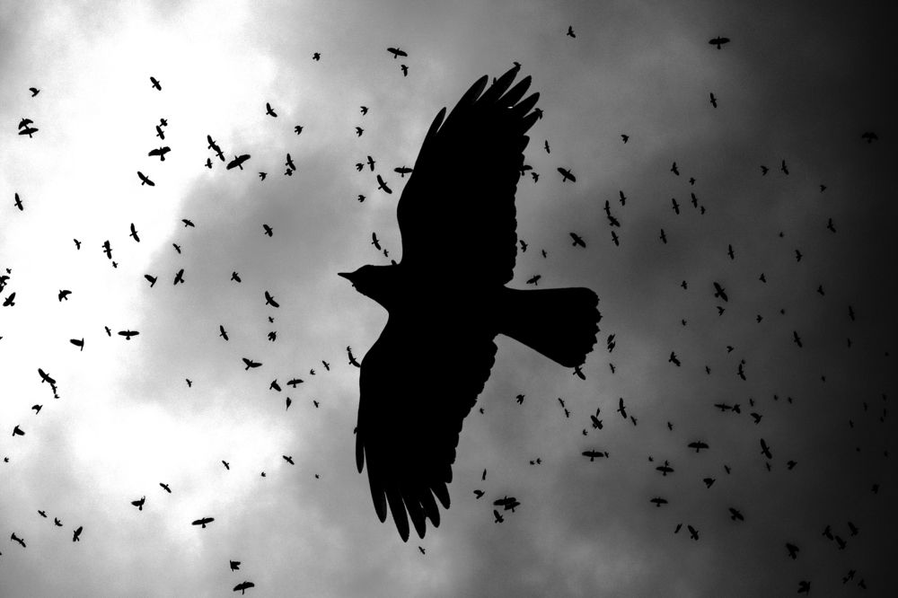 Photograph by Николай Савик