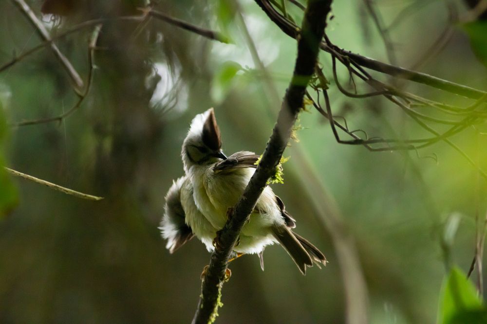 Photograph by Ryan Hevern