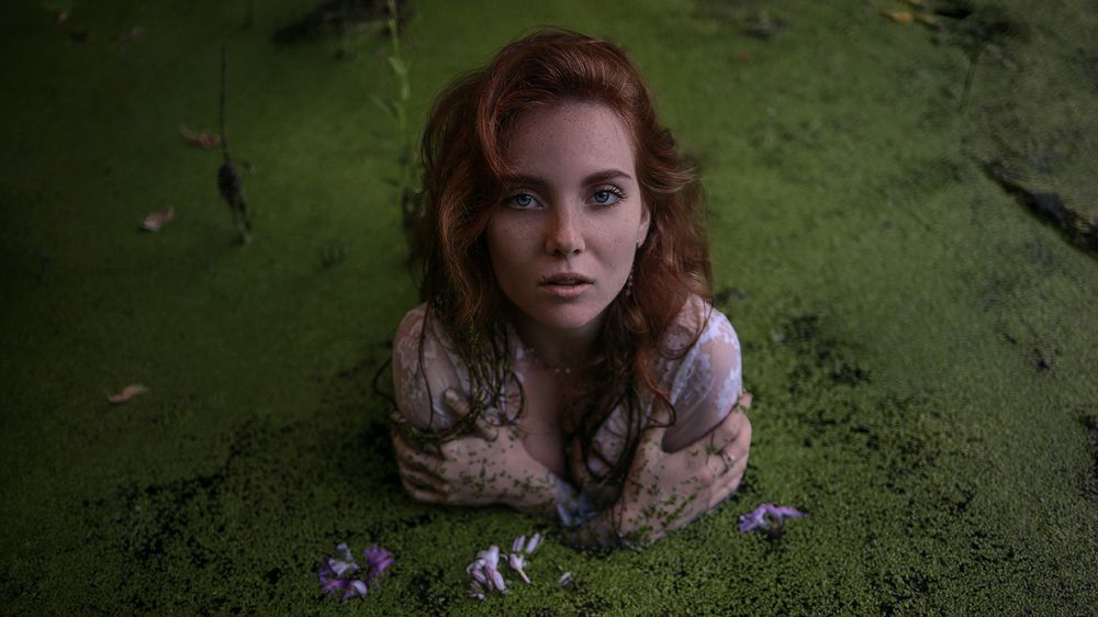 Фотография автора Даниил Алексеев