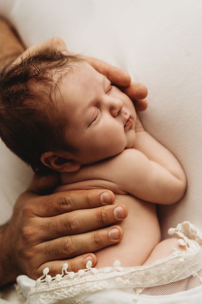 Photograph by Etili Hollander