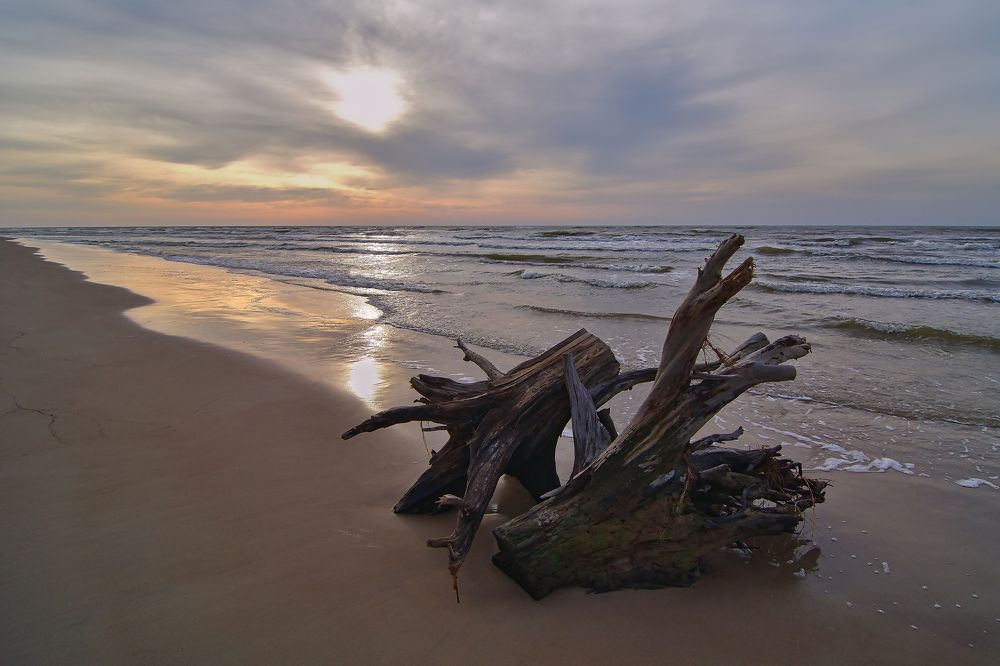 Photograph by Albina Kulikova